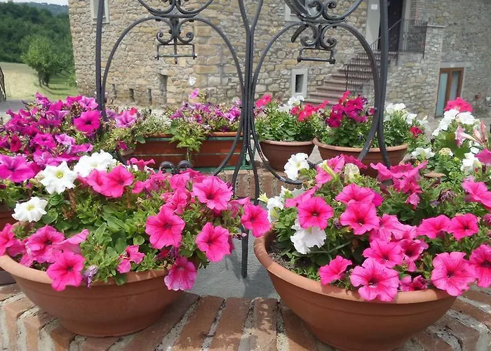 Feriegård Prato Degli Angeli *