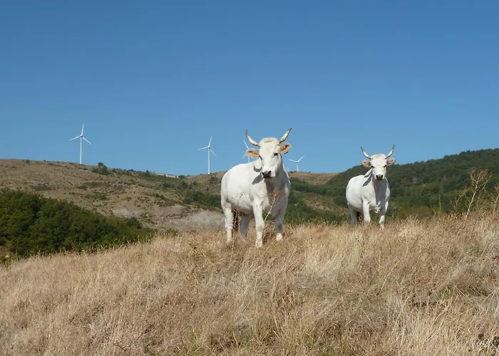 Prato Degli Angeli Feriegård Sassoleone