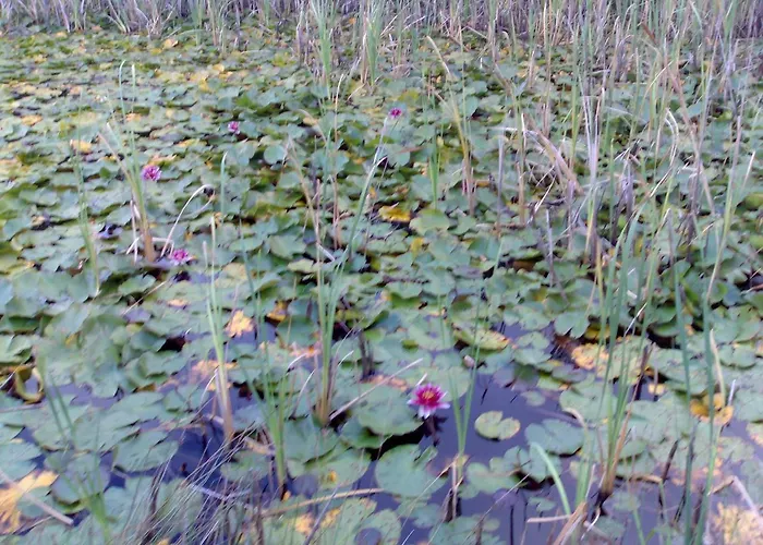 Prato Degli Angeli *