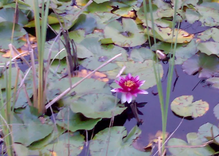 Feriegård Prato Degli Angeli