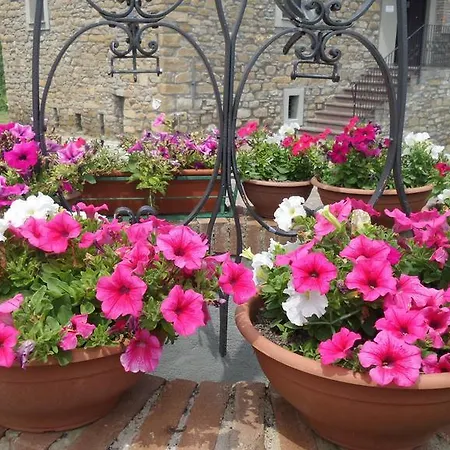 Alojamento de Turismo Rural Prato Degli Angeli *
