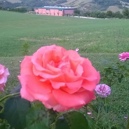 Alojamento de Turismo Rural Prato Degli Angeli
