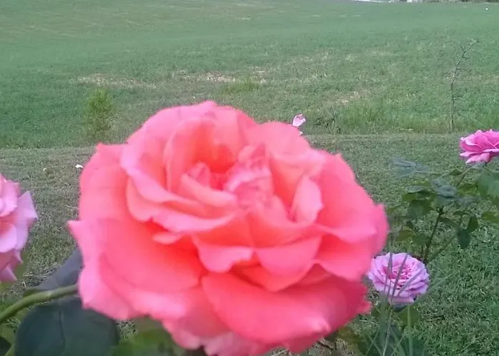 Фермерский дом Prato Degli Angeli